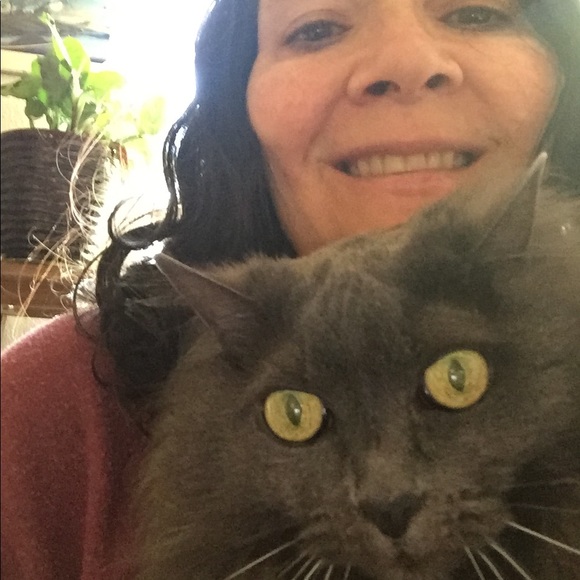 enter the burrow of the wild hare & find treasure! - Picture 3 of 16